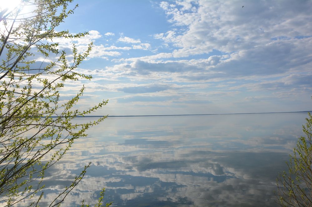 Photograph by Мария Мазикина