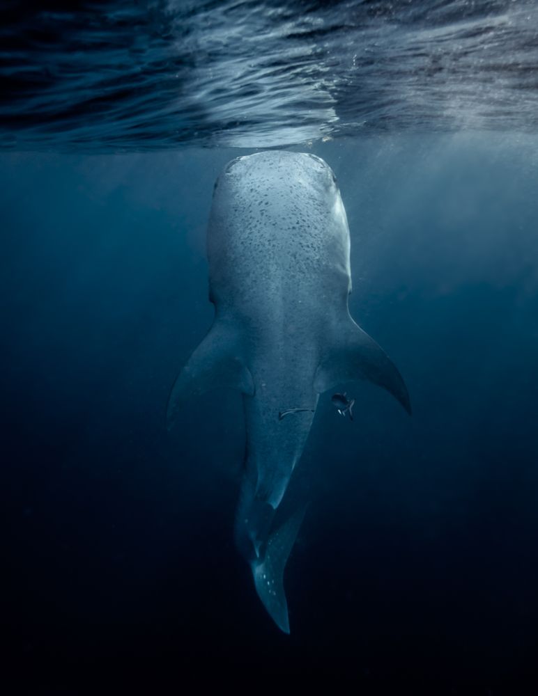 Un instante perfecto