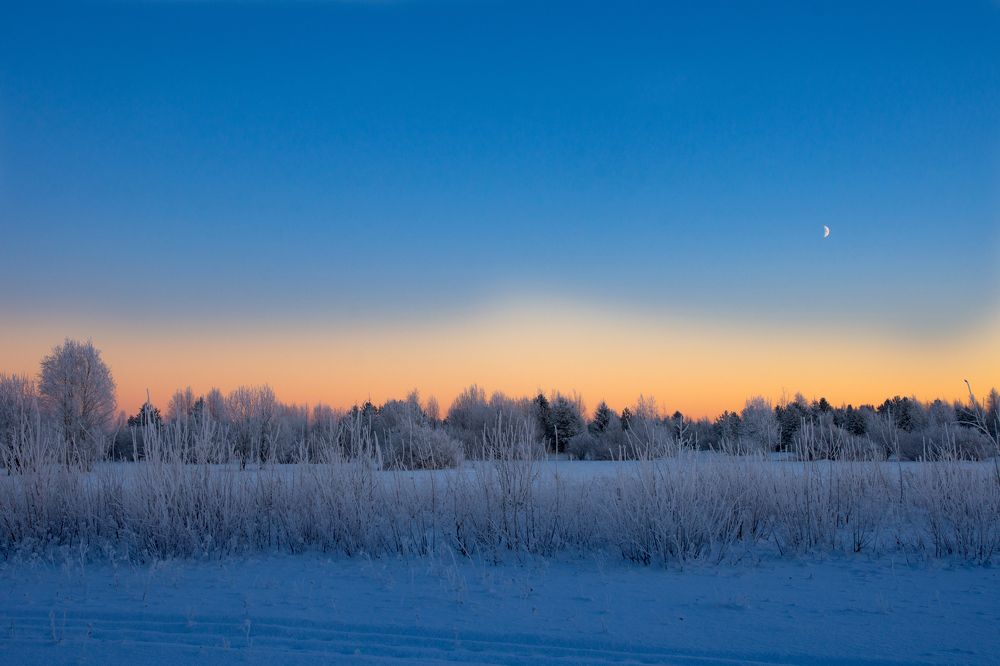 Морозный вечер...