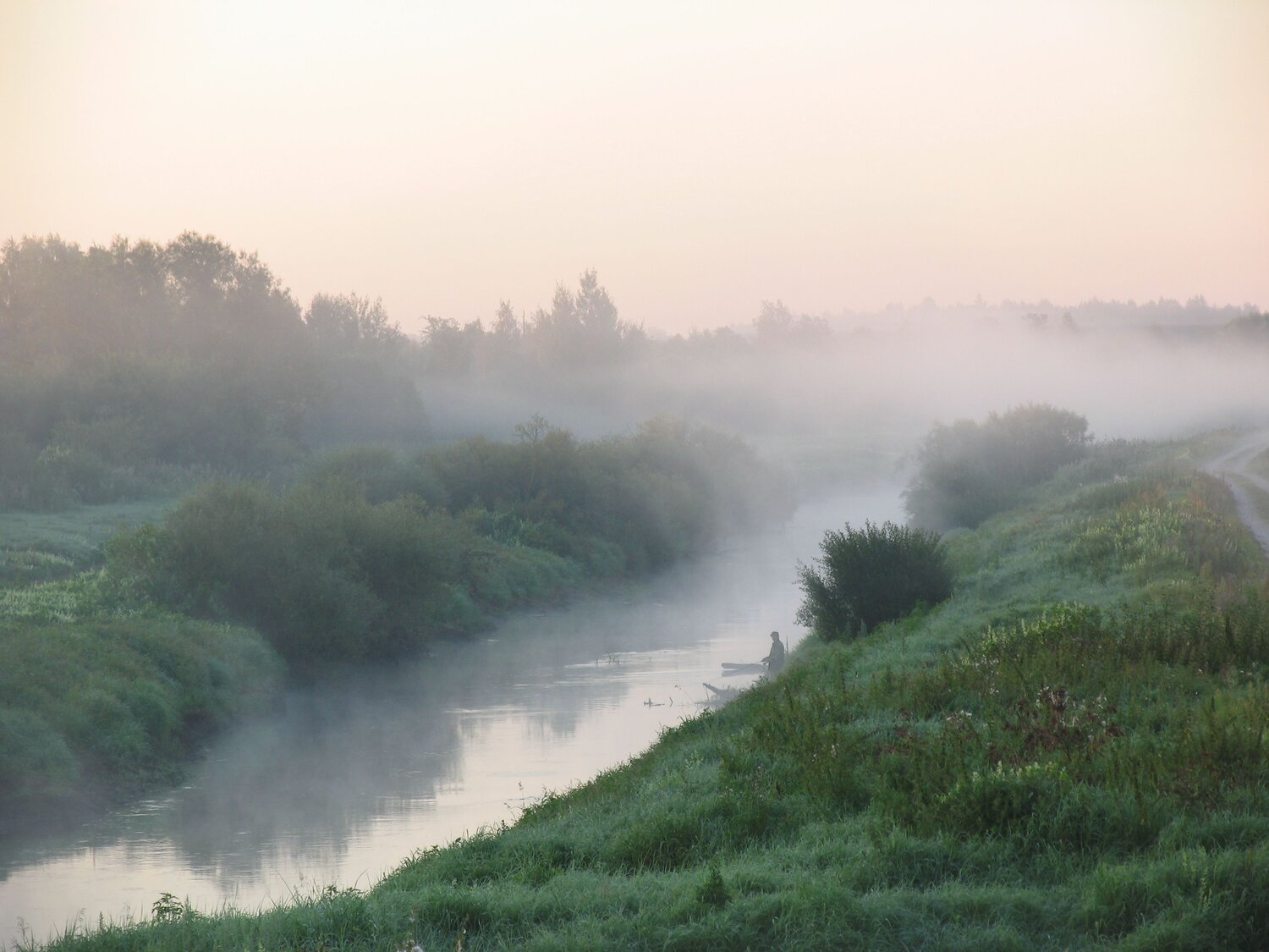 Photo #6893433