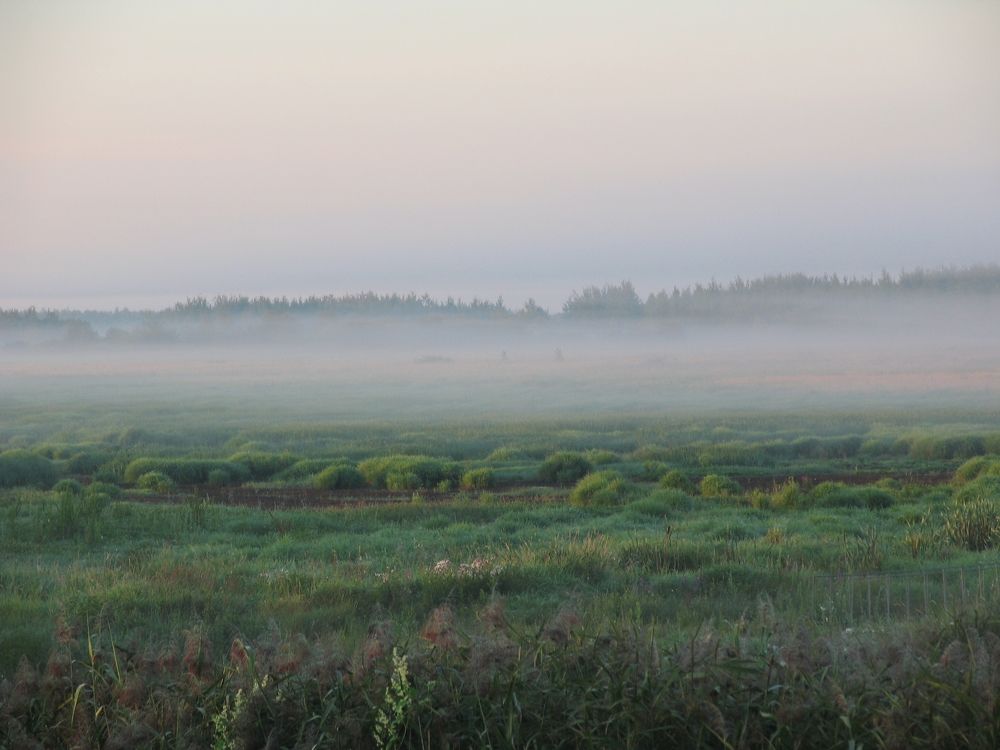 Photo #6893436
