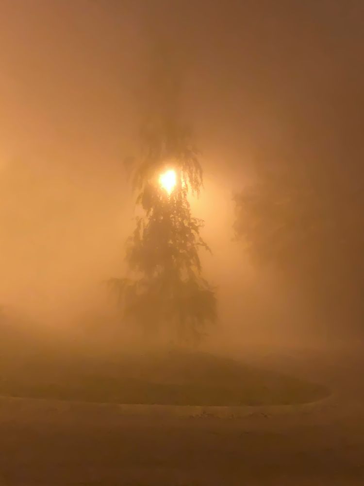 Photograph by Артём Мелетов