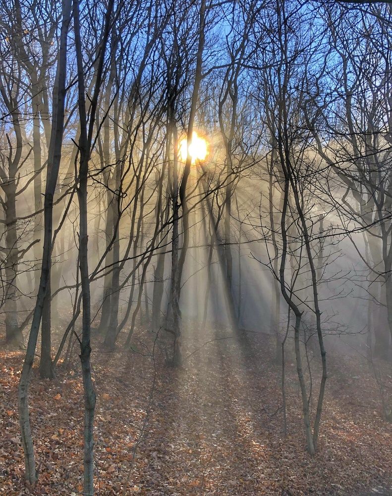 Photograph by Артём Мелетов