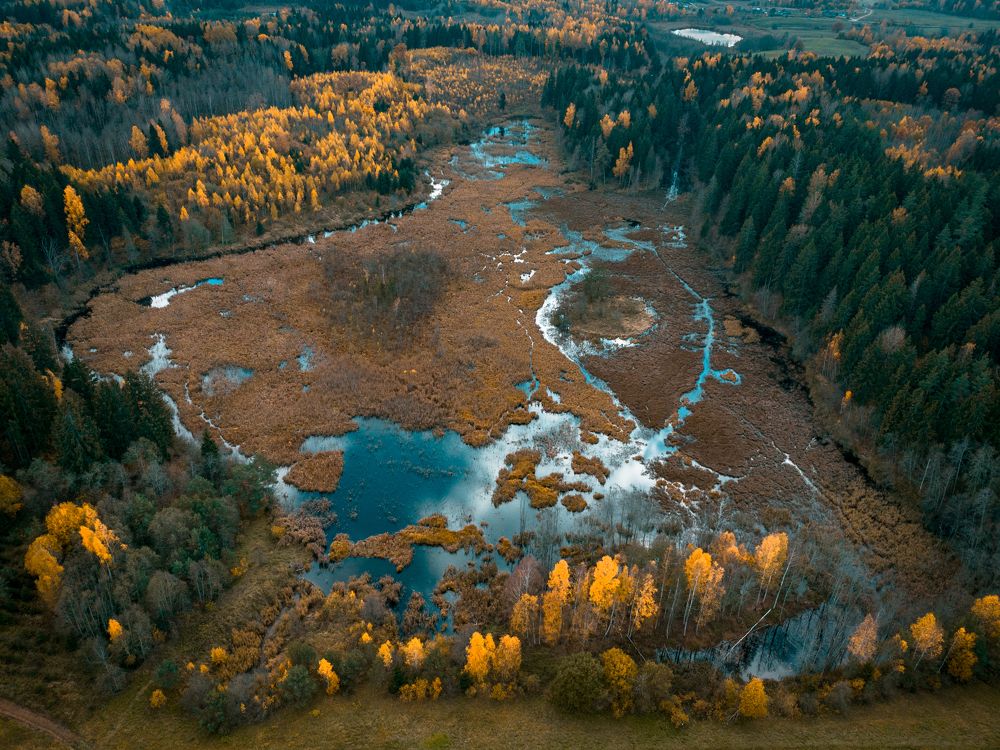 Photograph by Дмитрий Котов