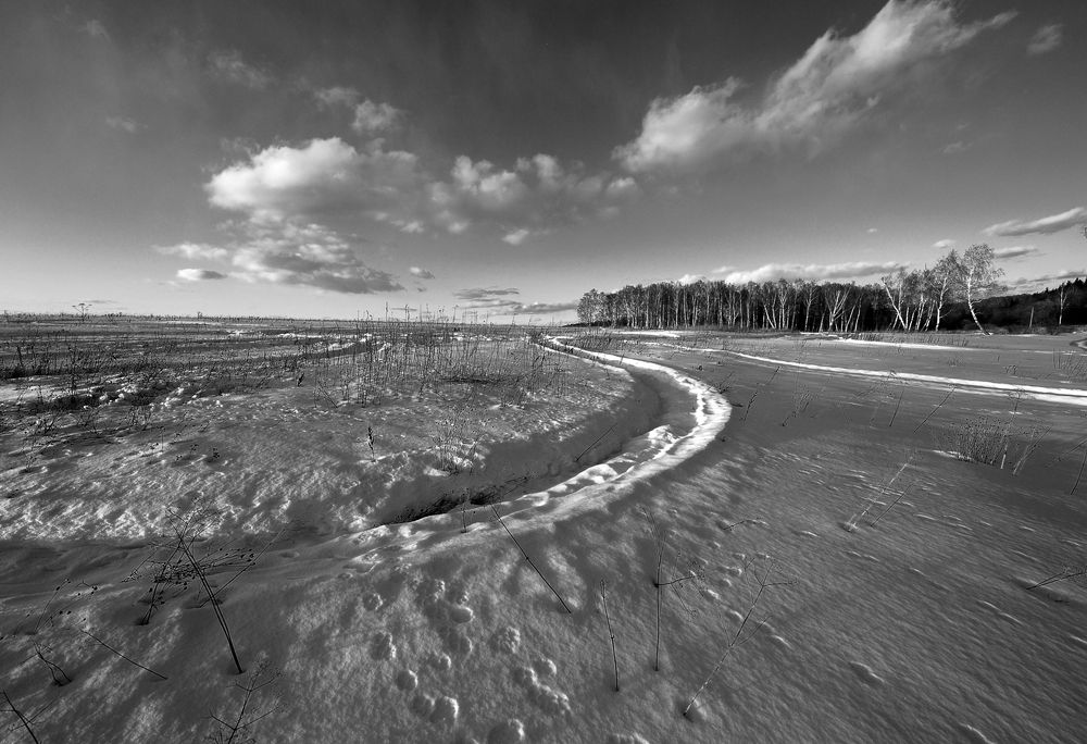 Photograph by Сергей Сережников