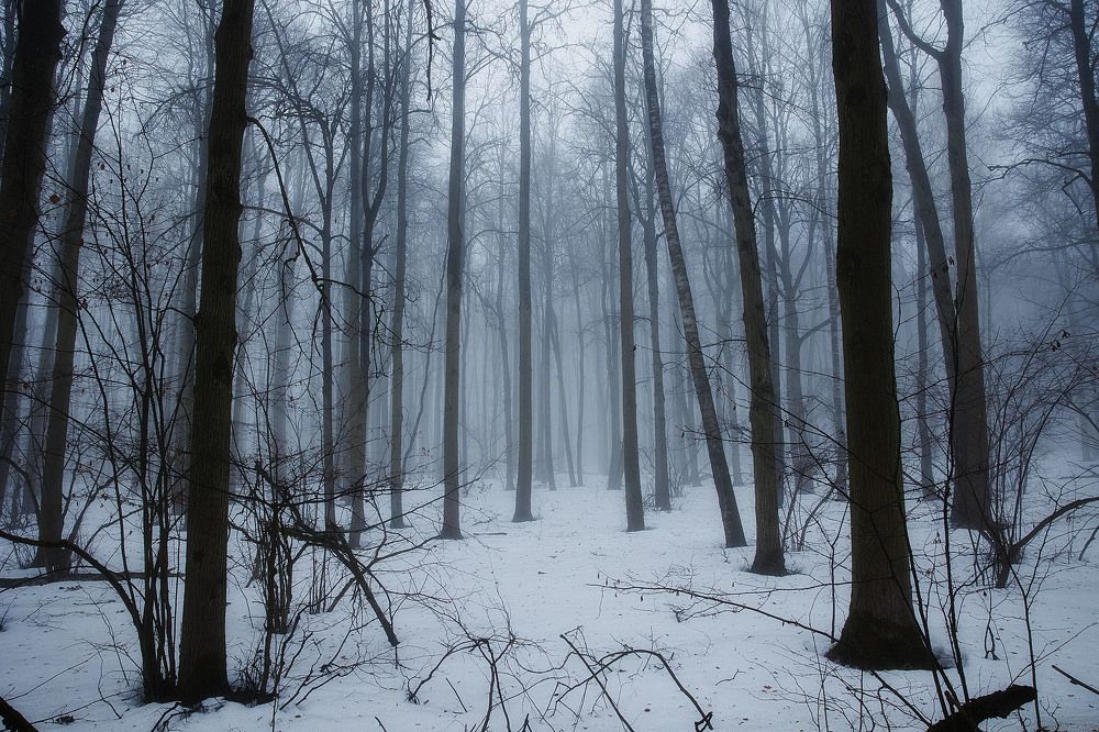 Photograph by Петр Вербицкий