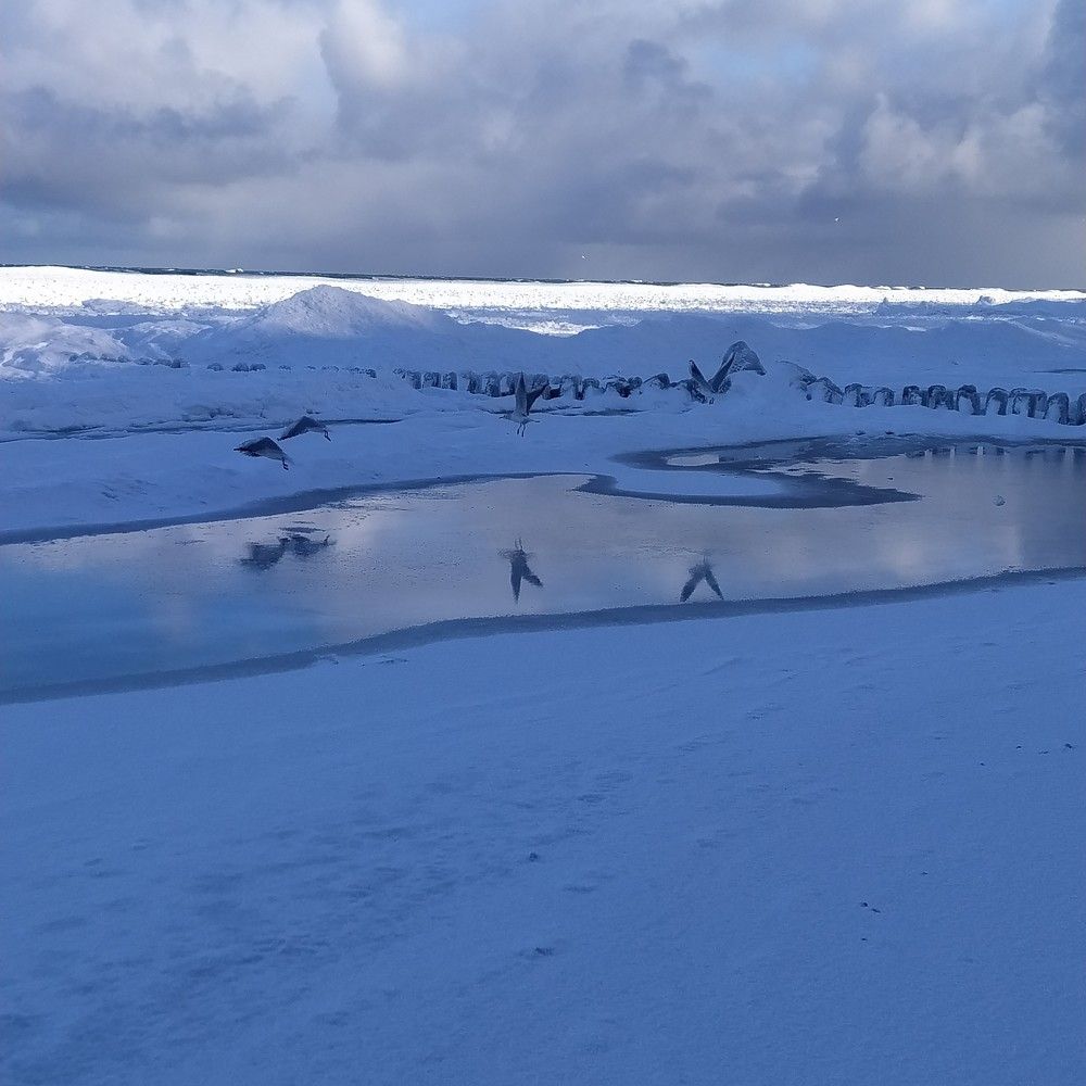 Зимнее море