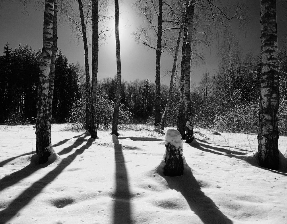 Photograph by Сергей Сережников