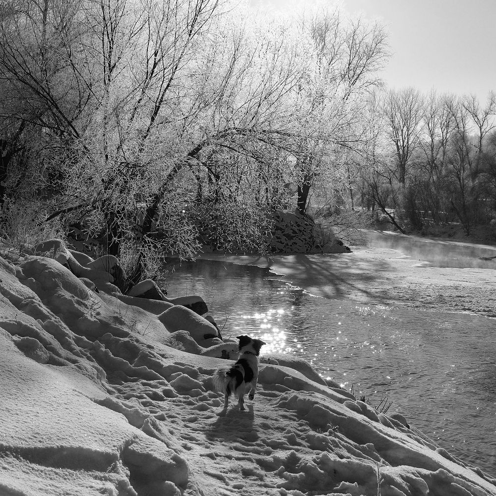 Photograph by Сергей Сережников