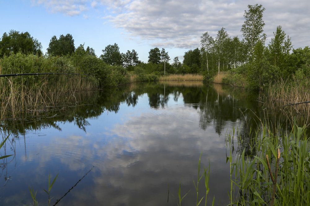 Photograph by Татьяна Атисс