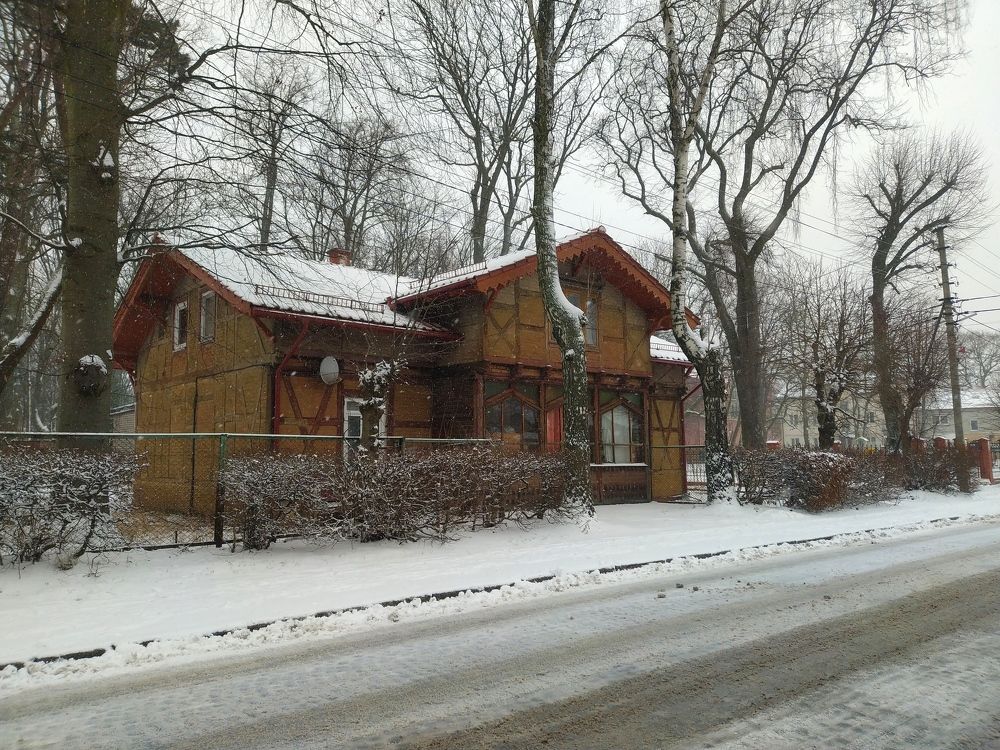 Природа под снегом