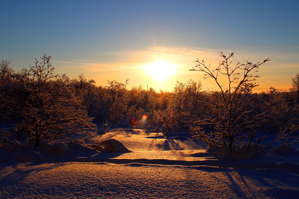 Photograph by Ирина Чечкина