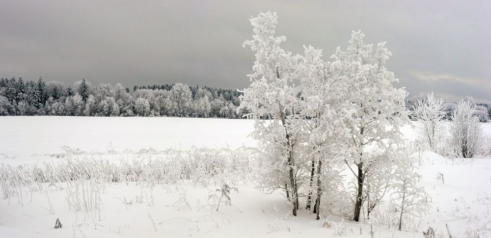 Photograph by Владимир Кириллов