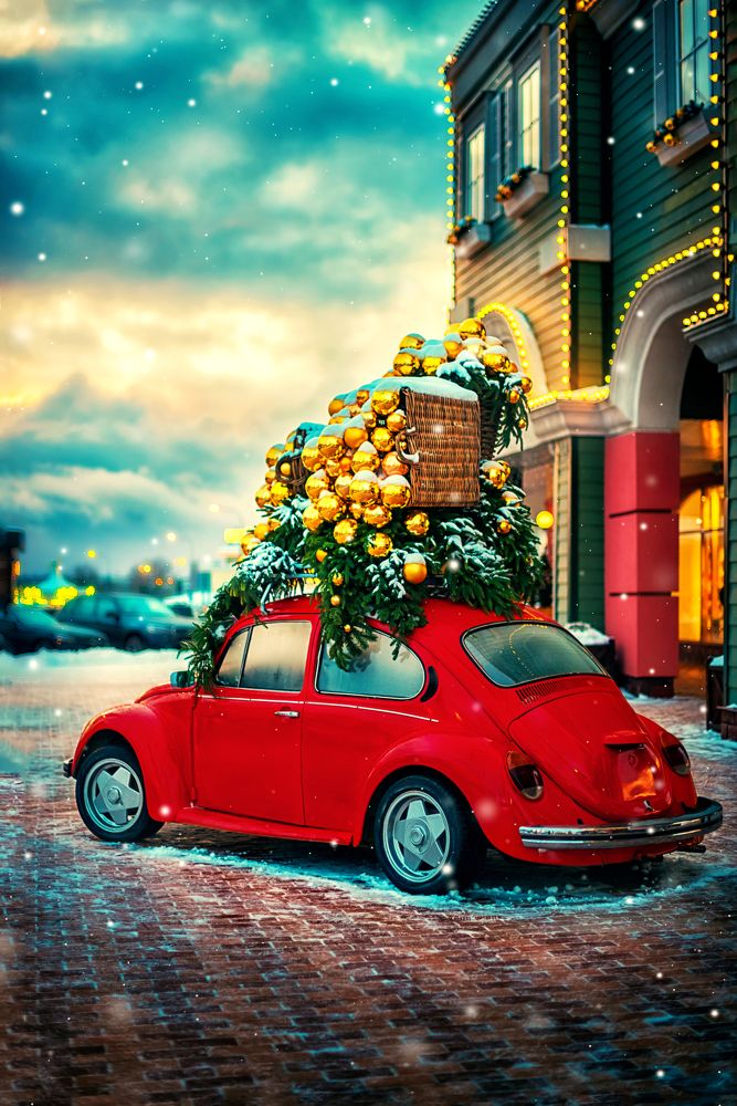 Photograph by Ксения Базарова