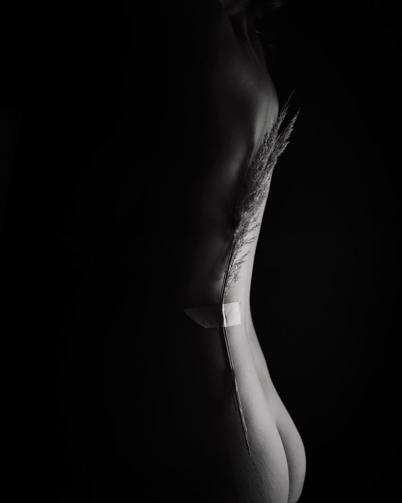 Photograph by Mostafa Chenani