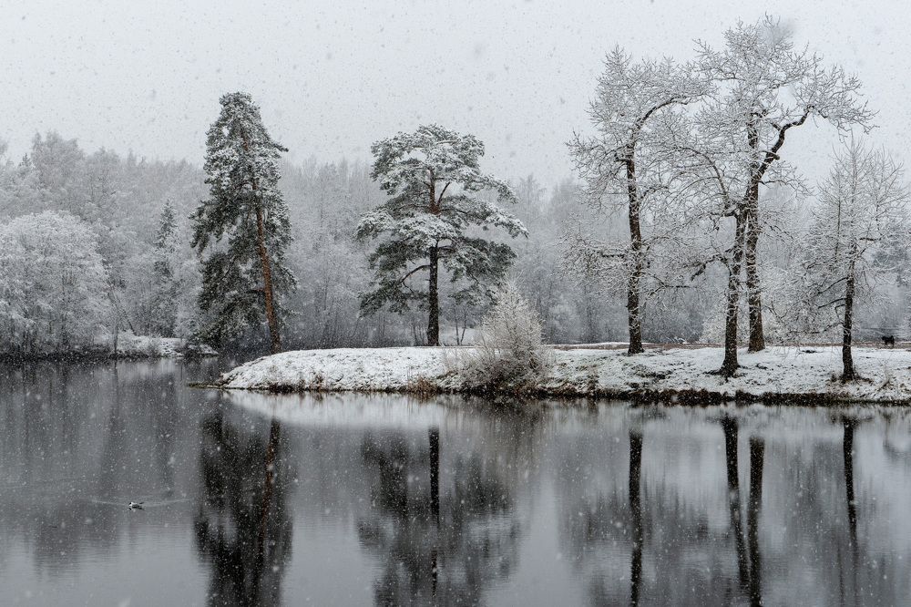 Photograph by Владимир Кириллов