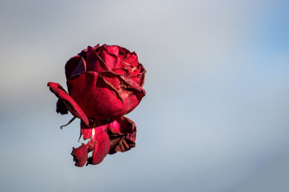 Photograph by Владимир Кириллов