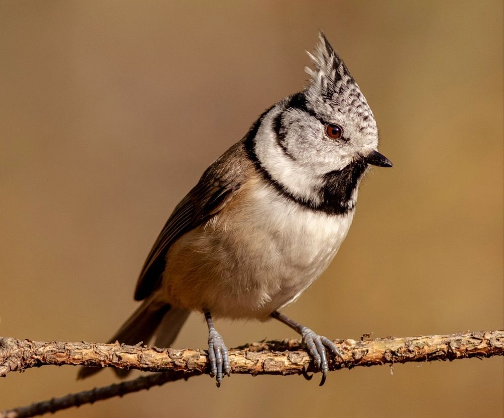 Photograph by Павел Краснослободцев