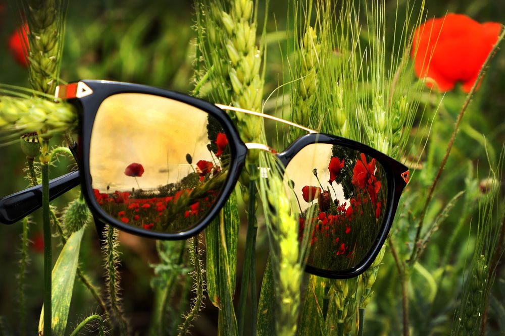 Photograph by Валерия Маркова