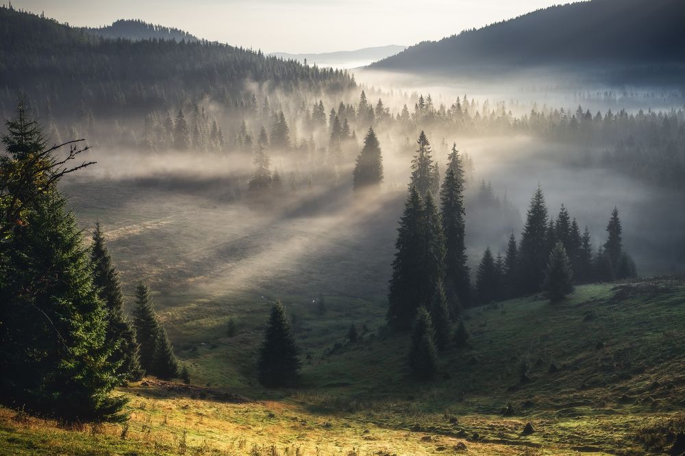 Photograph by Антон Ростовский