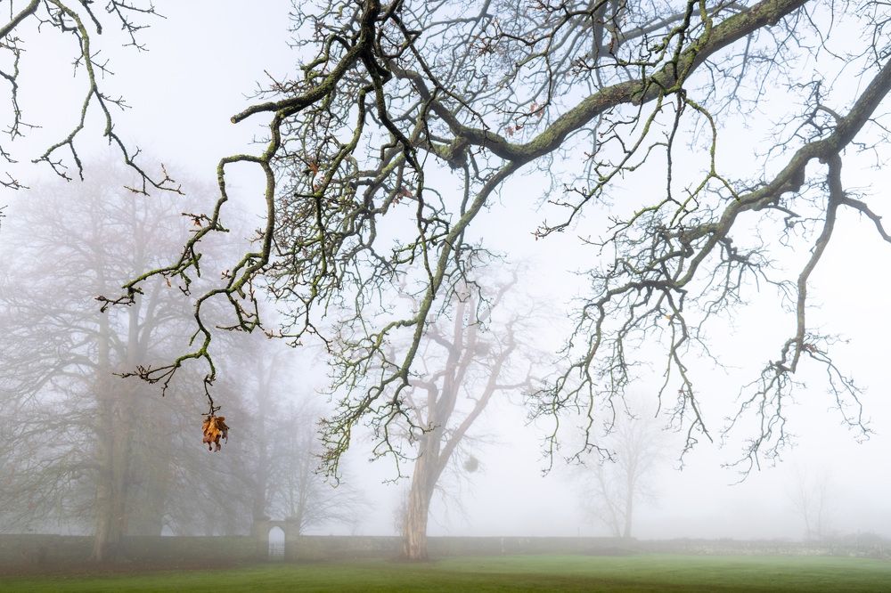 Photograph by Алёна Дьяченко