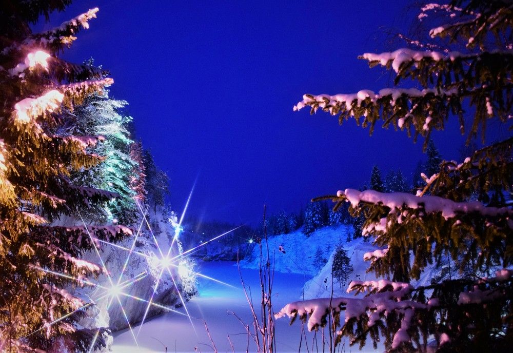 Фотография автора Альбина Хвастунова