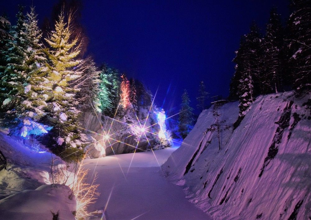 Фотография автора Альбина Хвастунова