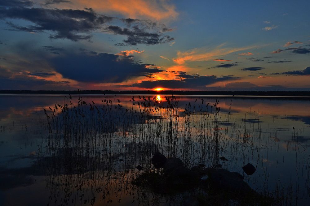 Photograph by Андрей Москалев