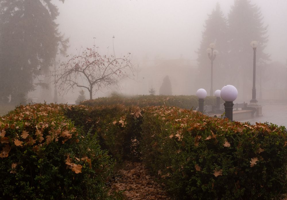 Photograph by Hanna Zapylaieva