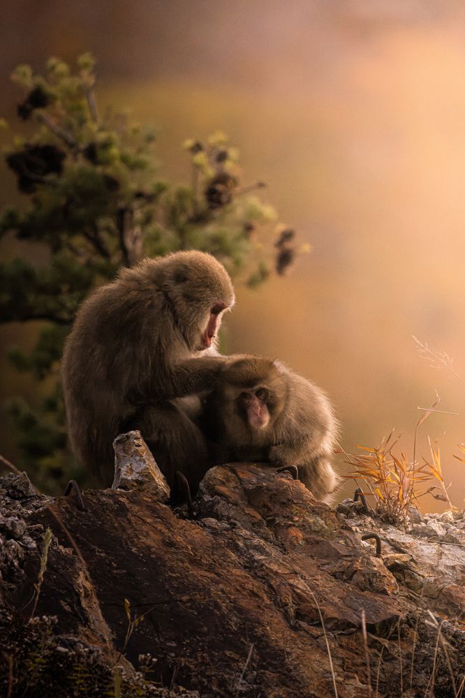 Photograph by Matsubara Hiroki