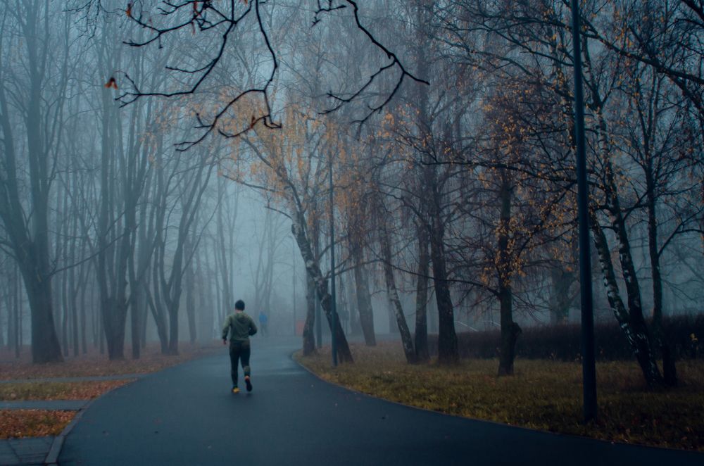 Фотография автора Anton Shumakov