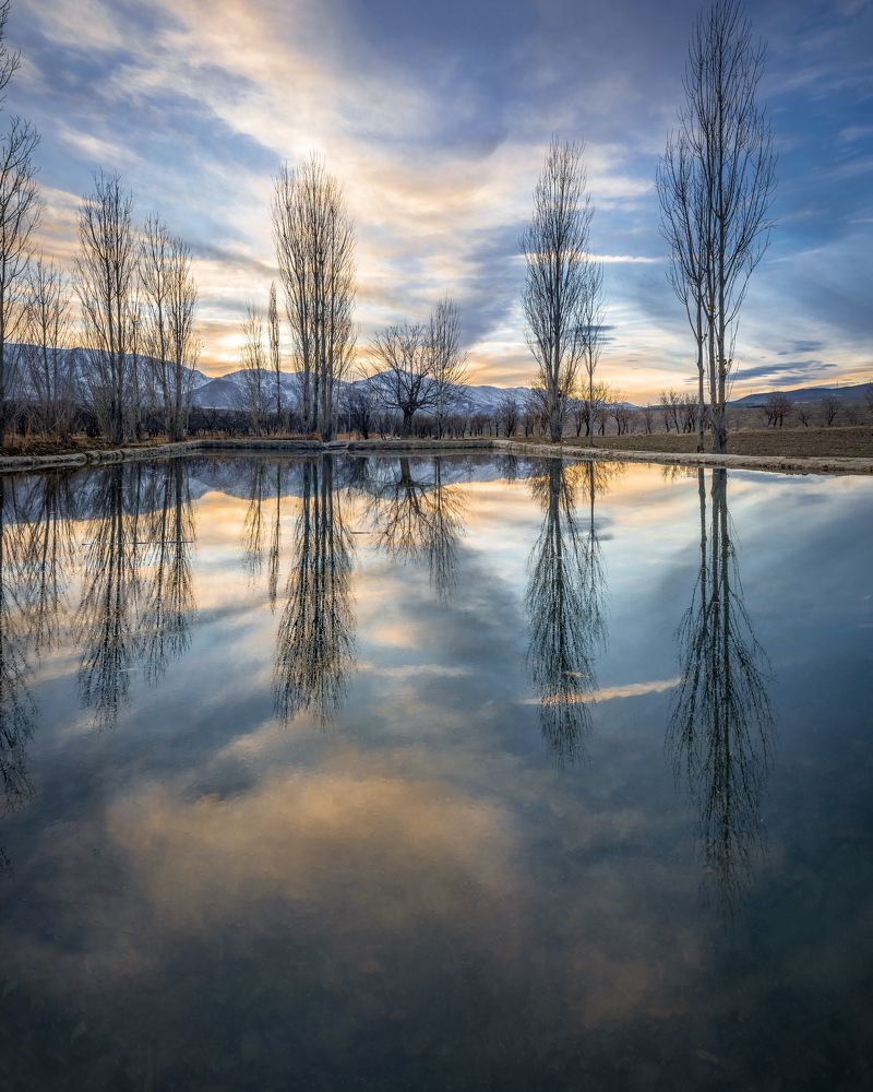 Фотография автора majid arab