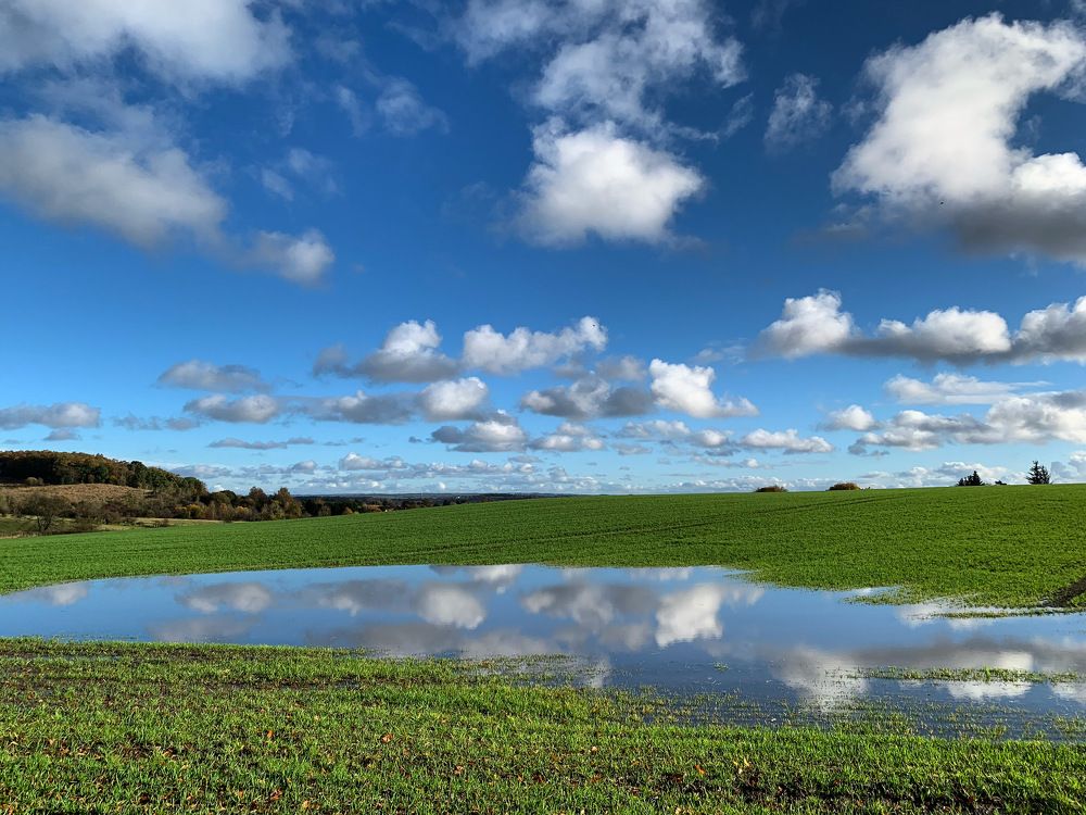 Photograph by Maria Dzene