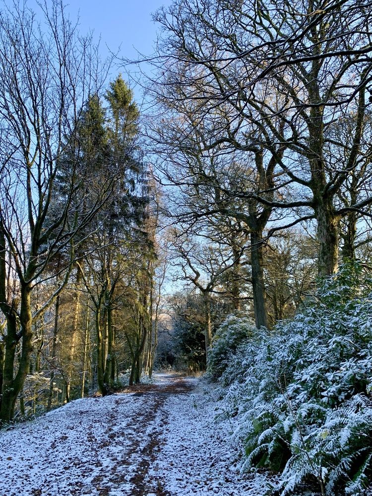 Photograph by Maria Dzene