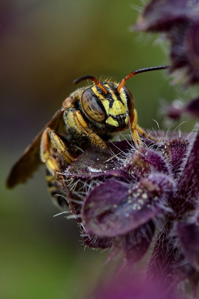 Photograph by Moura Denis