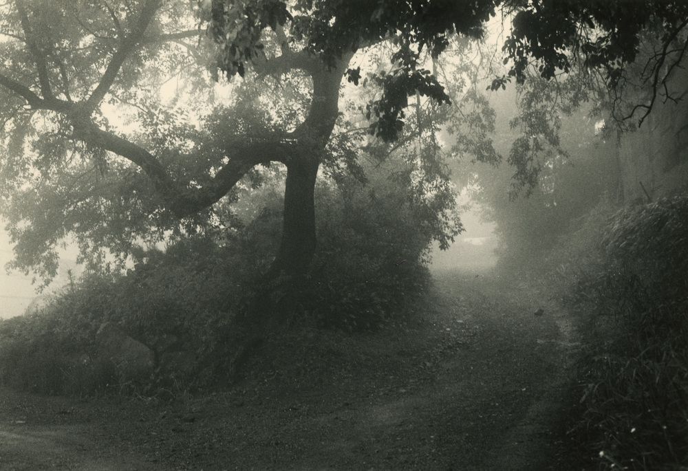 Фотография автора Aleksandr Osokin