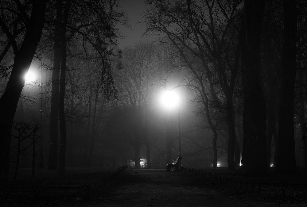 Photograph by Екатерина Мосолова