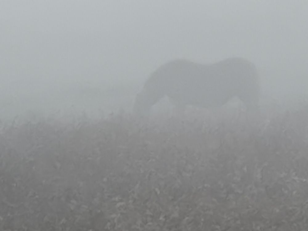 Литва. Сентябрь2021