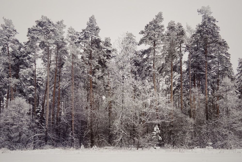 Photograph by Александра Ковалёва