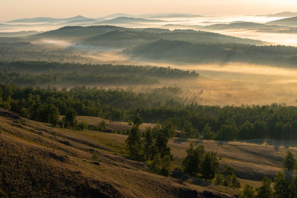 Photograph by Максим Ватрушкин