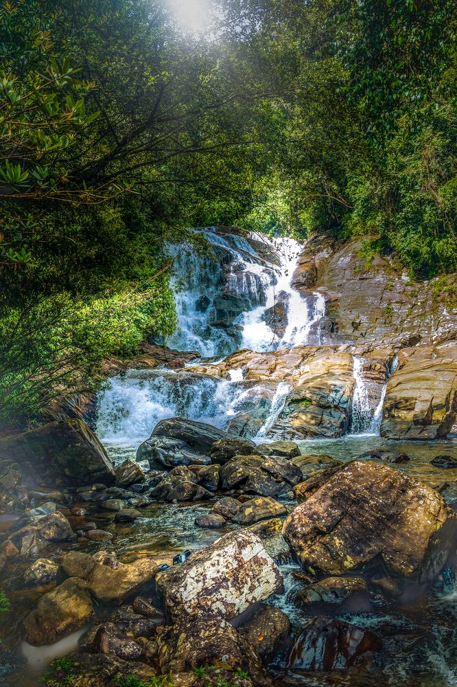 Photograph by Hewage K-vin R