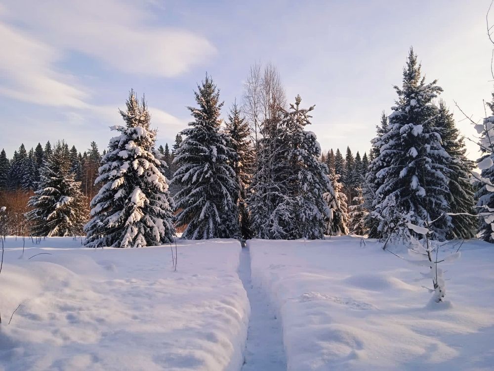 Photograph by Наталья Глек