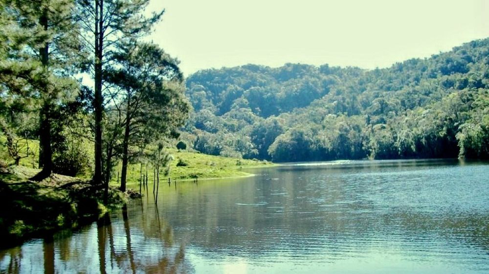 Photograph by Julio Cesar Almeida