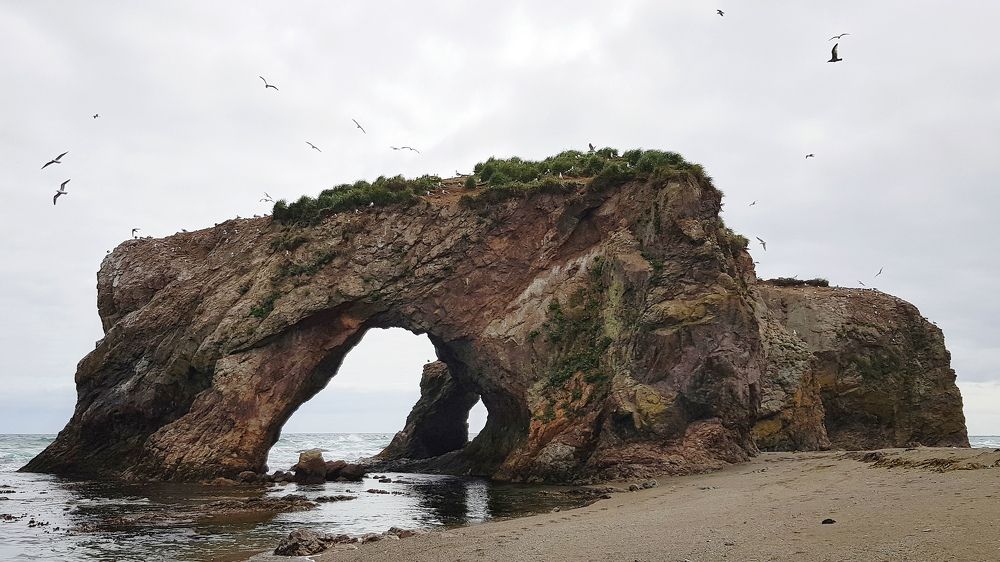 Photograph by ALEKSANDRA KUZNETSOVA