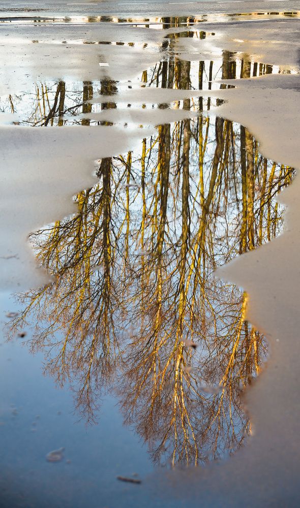 Photograph by Валерий Верещако