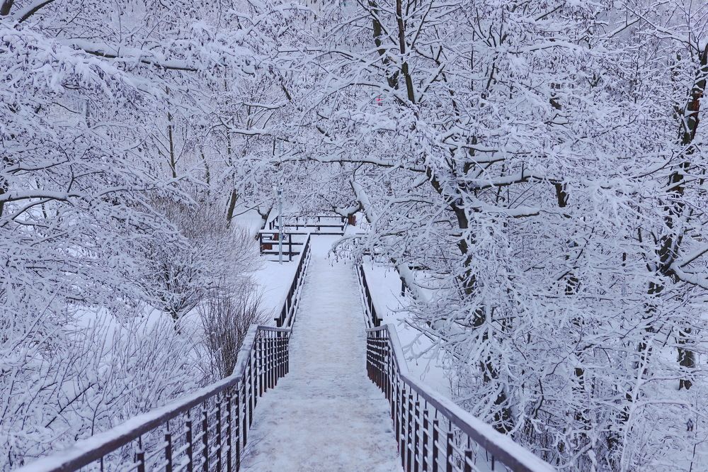 Photograph by Константин Лагоденко