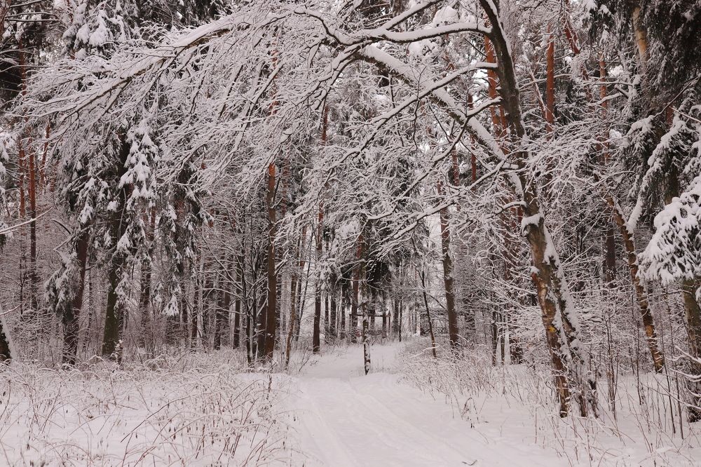 Photograph by Константин Лагоденко