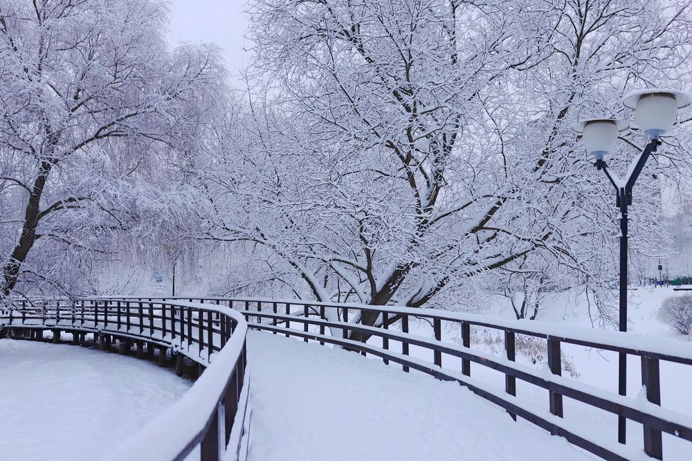 Photograph by Константин Лагоденко