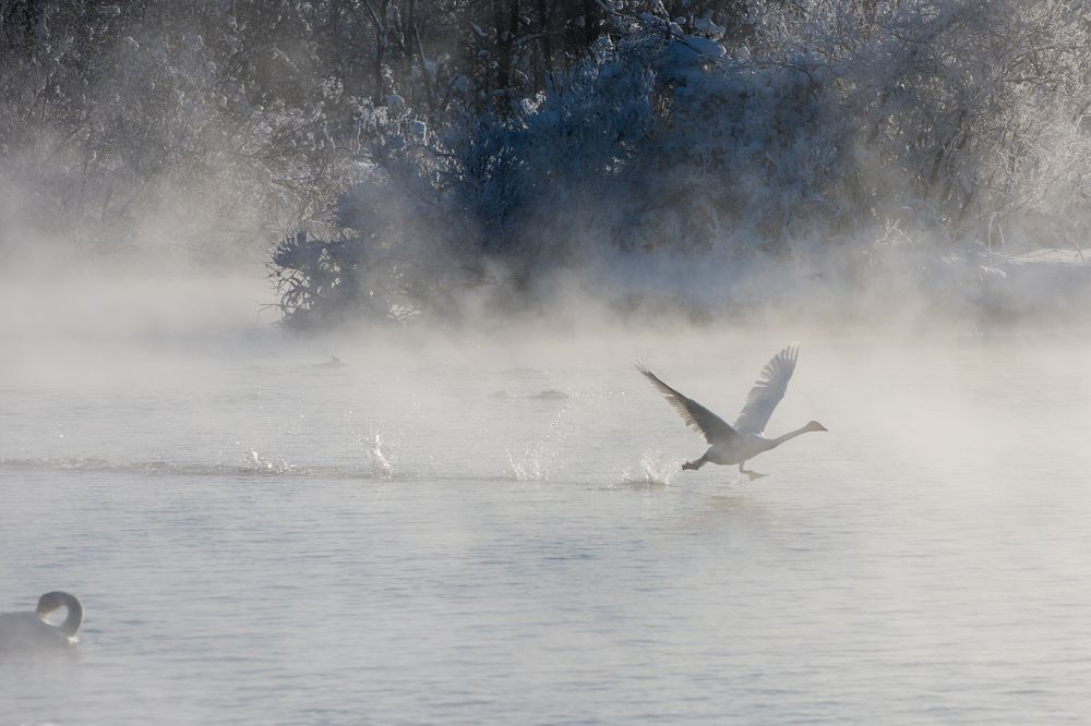 Photograph by Руслан Олинчук