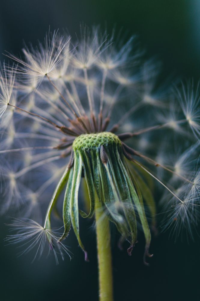 Жемчужные мысли